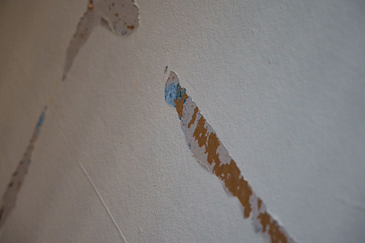 Structural Drying service in St. George, UT